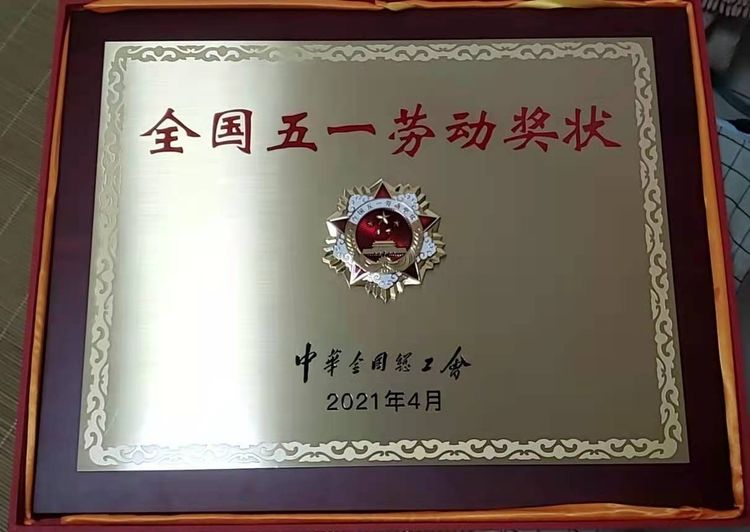 市總工會領(lǐng)導(dǎo)為我司頒發(fā)全國五一勞動獎(jiǎng)狀